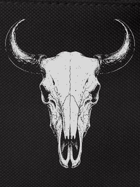 Bull Skull Horns