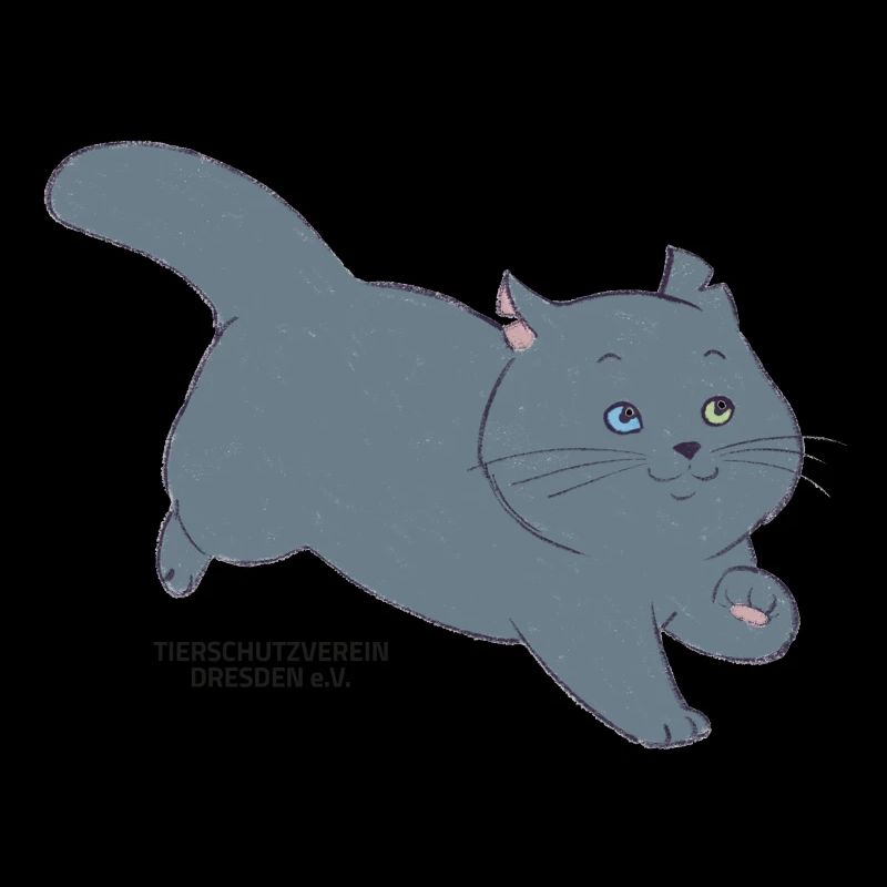 🐾 Schwarze Katze 🐈‍⬛