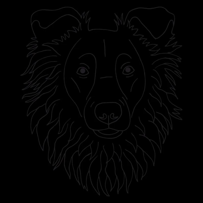 Collie