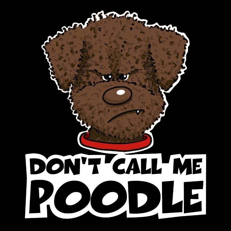 Poodle1 2