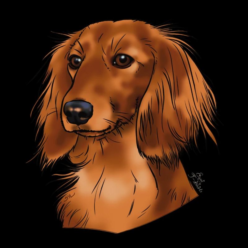 longhaired dachshund (without text) light textiles