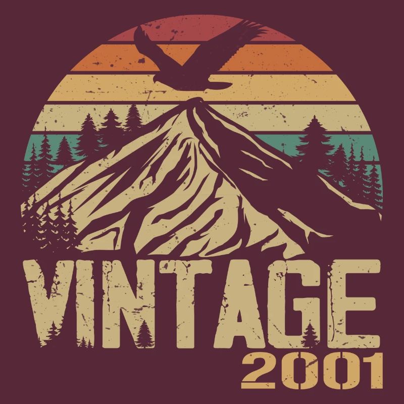 Jahrgang 2001 Retro 2001 Jubiläumsgeschenk