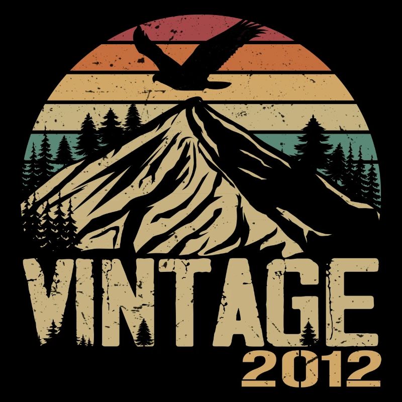 Vintage 2012 Cadeau Anniversaire 2012 Retro 2012