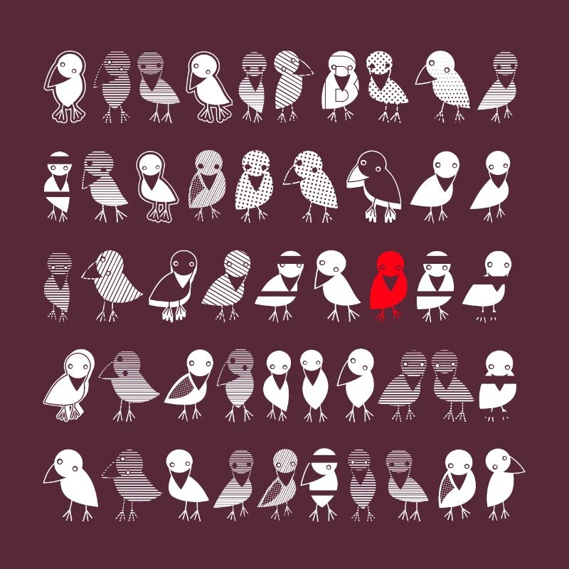Birds Ravens