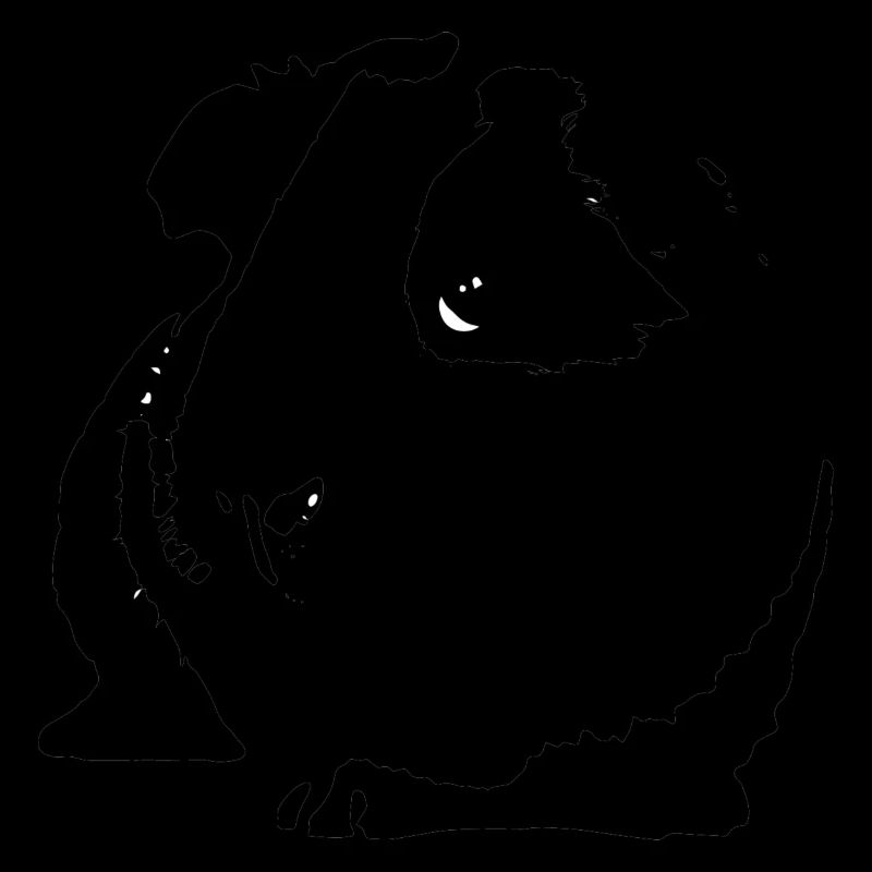 hamster Cochon d'inde Noir blanc