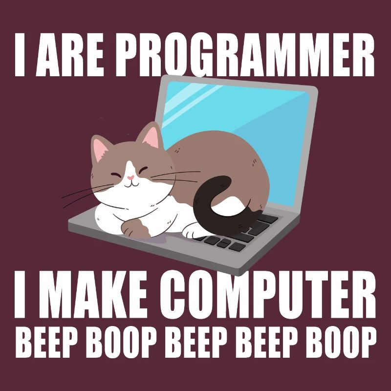 Ich bin Programmierer