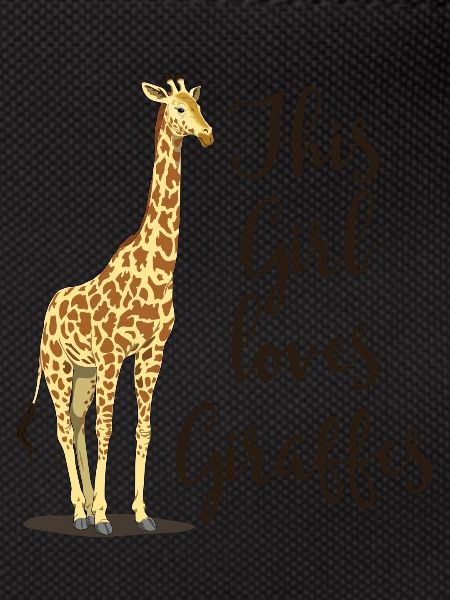 j'aime v2 girafes