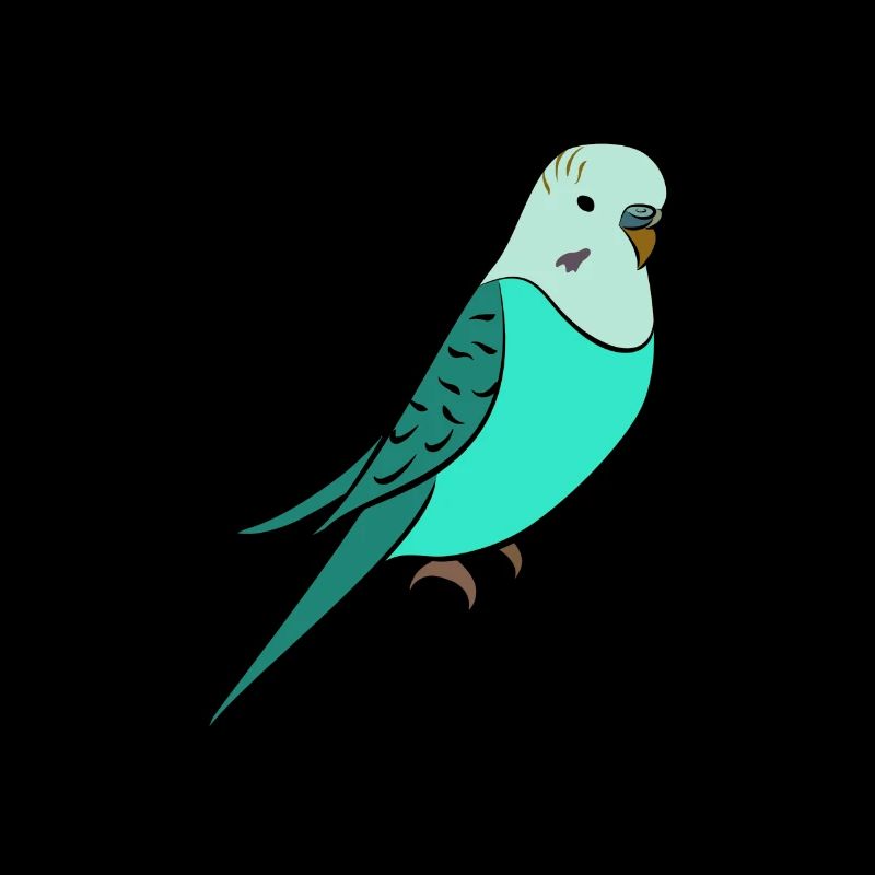 perruche Turquoise
