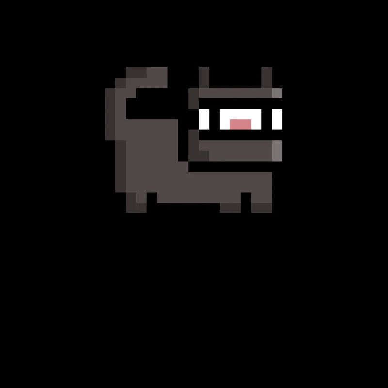 Retro Ninja Katze