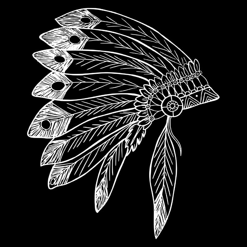 Origin Native American Indian Feathers Style Birth