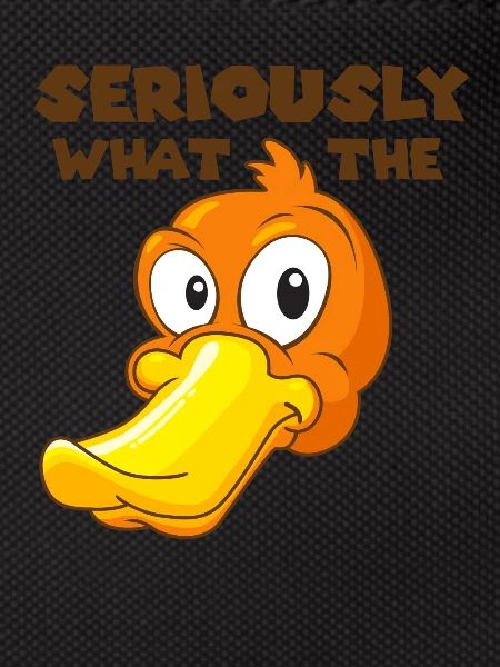 Seriously what the duck