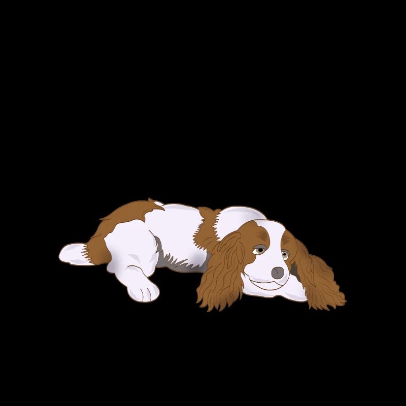 Cavalier King Charles Spaniel lazy gift