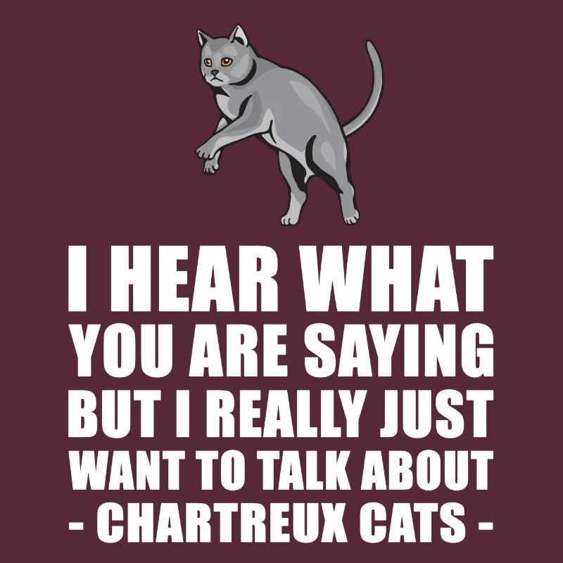 Chartreux Chat cadeau mignon