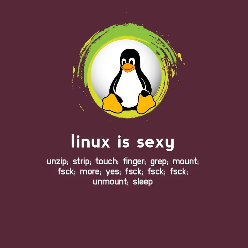 Computer System Penguin Nerd pc inside code admin