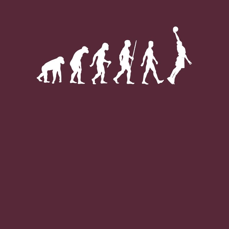 Basketball Evolution cadeau