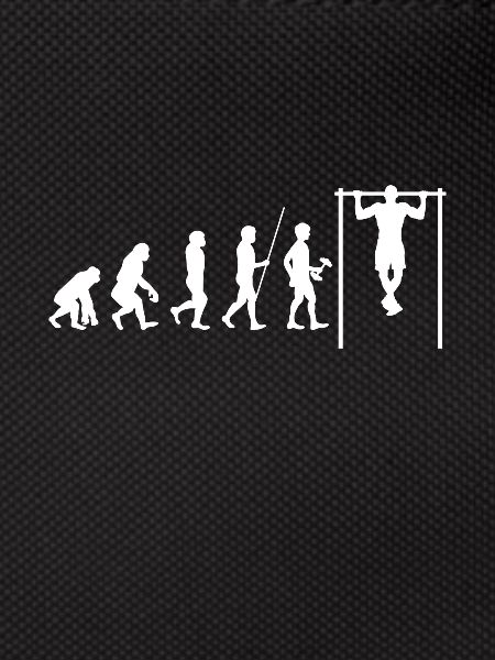 Evolution Calisthenics