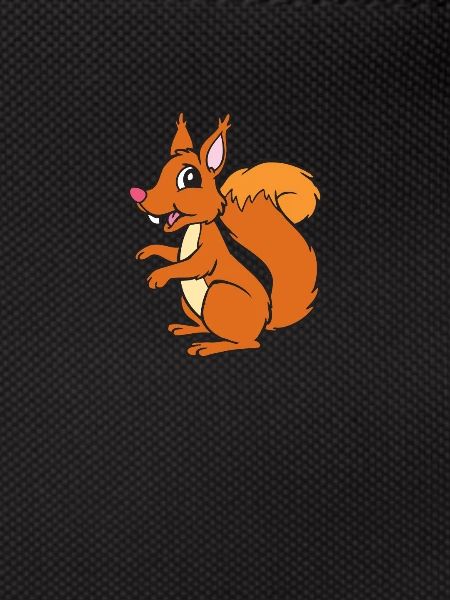 Squirrel - squirrel