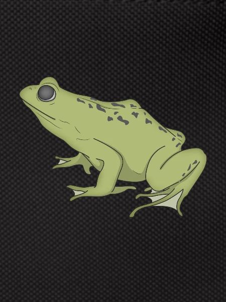 frog