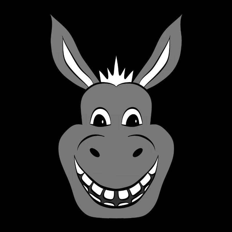 Esel Donkey