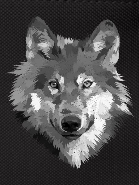Grayscale Wolf Portrait