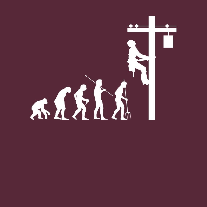 Evolution Elektriker