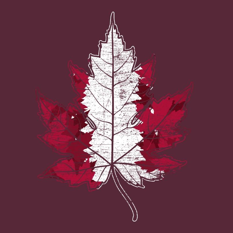 Canada gift maple leaf