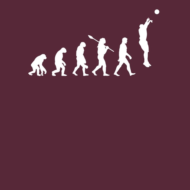 Evolution du basket