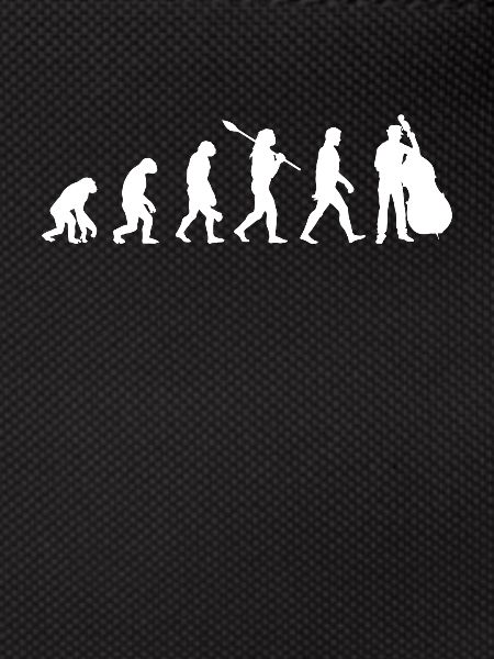 Evolution double bass