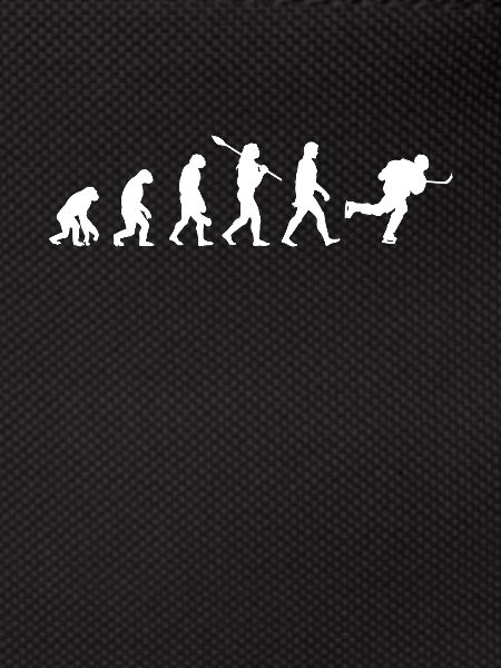 Hockey evolution