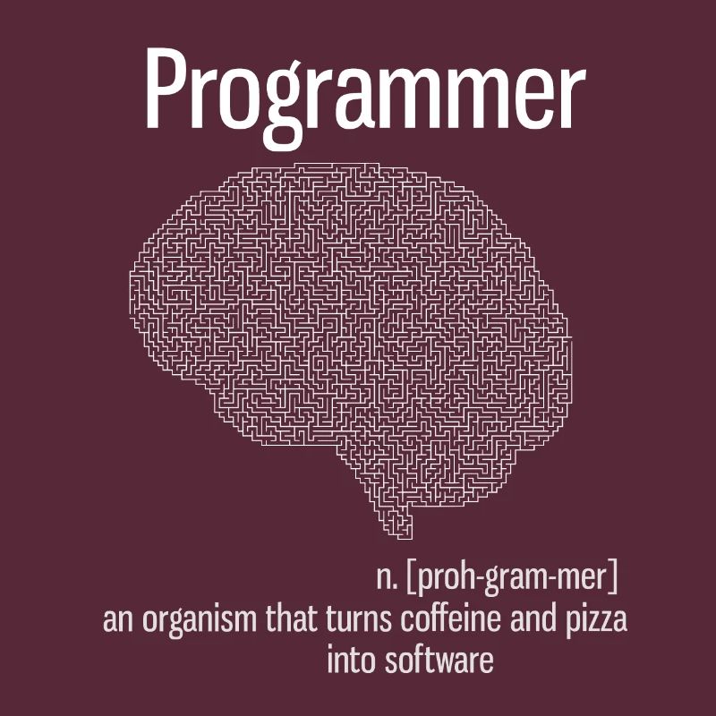 programmer brain pc informatik definition pizza lo