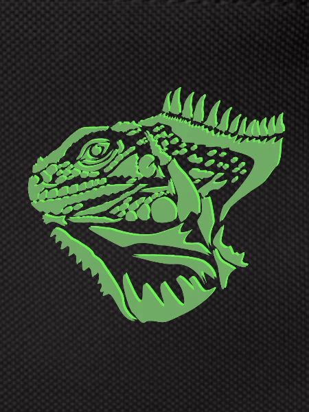 Iguana lizard