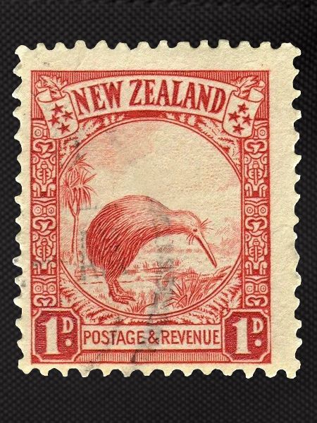 Kiwi Stamp