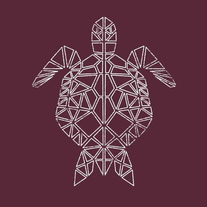 Turtle polygon geometric