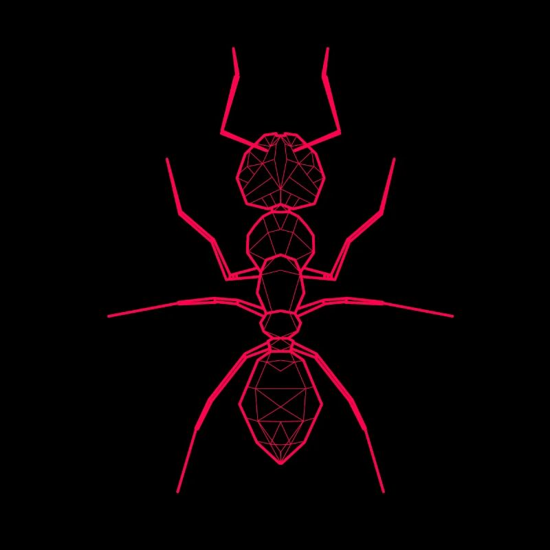 Ant Geometric