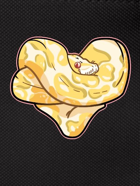 Python heart