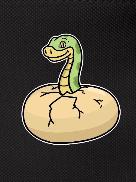 python