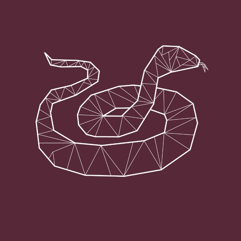 Python geometric