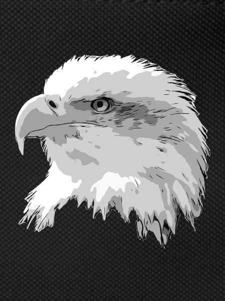 Eagle head
