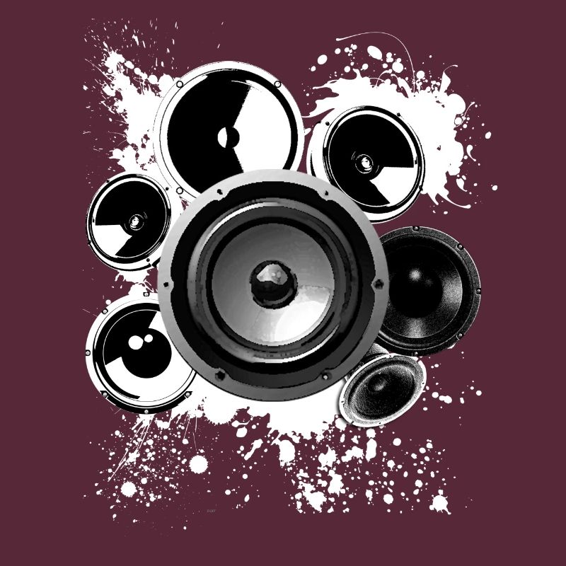 Construction haut-parleur haut-parleur Hifi classe de référence techno