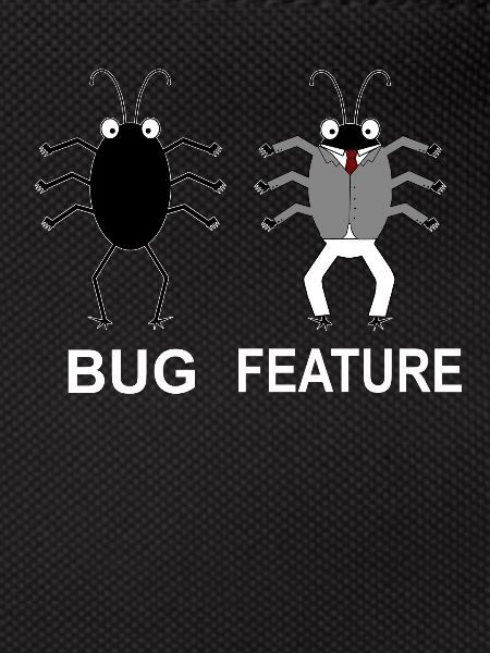 Bug Feature - Informatiker Programmierer