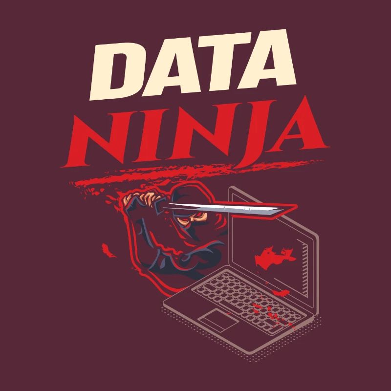 Data Ninja computer programming coder