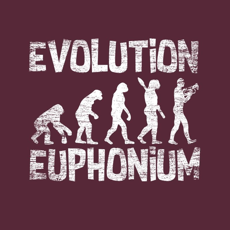 Euphonium development