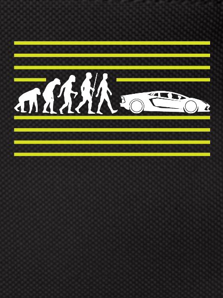 EVOLUTION VOM AFFE ZUM AUTO