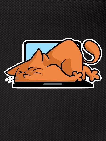 Cats and computers