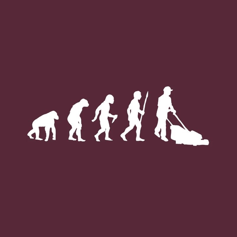 Evolution tondeuse