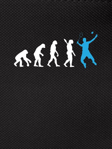 EVOLUTION BADMINTON DEVELOPMENT BADMINTON