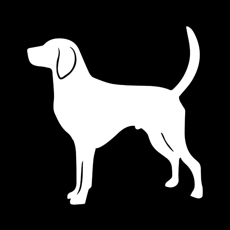 American Foxhound