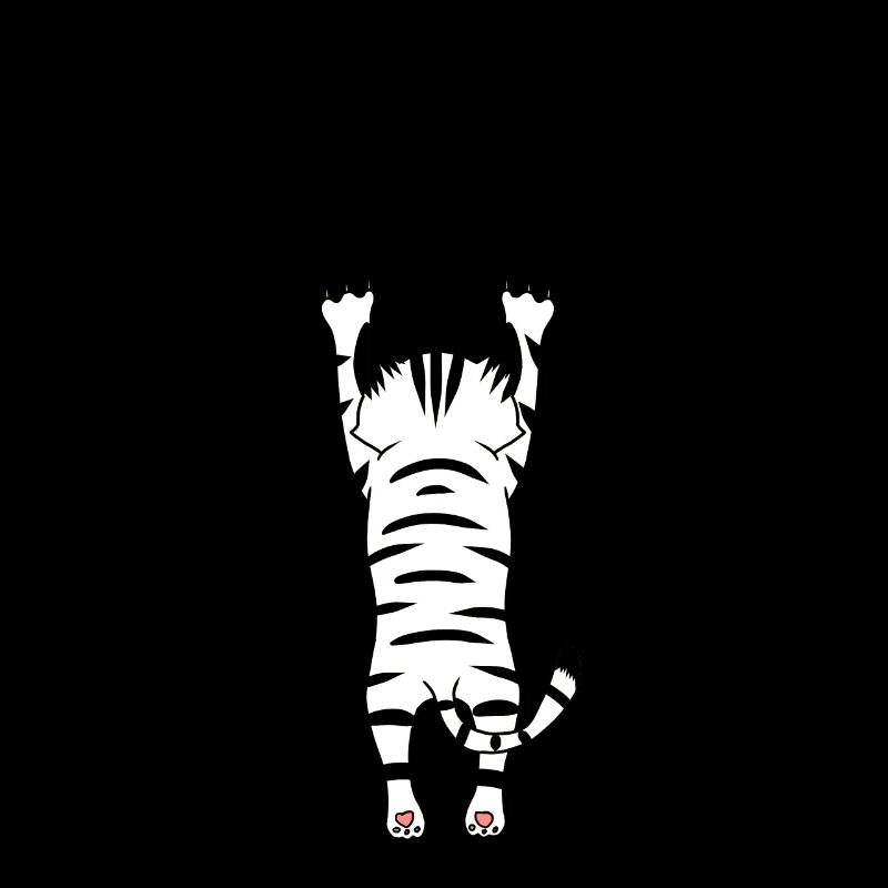 Griffes Chat Chat Chat Chat Animaux de compagnie Patte