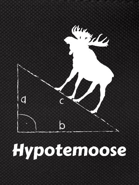 Hypotemoose