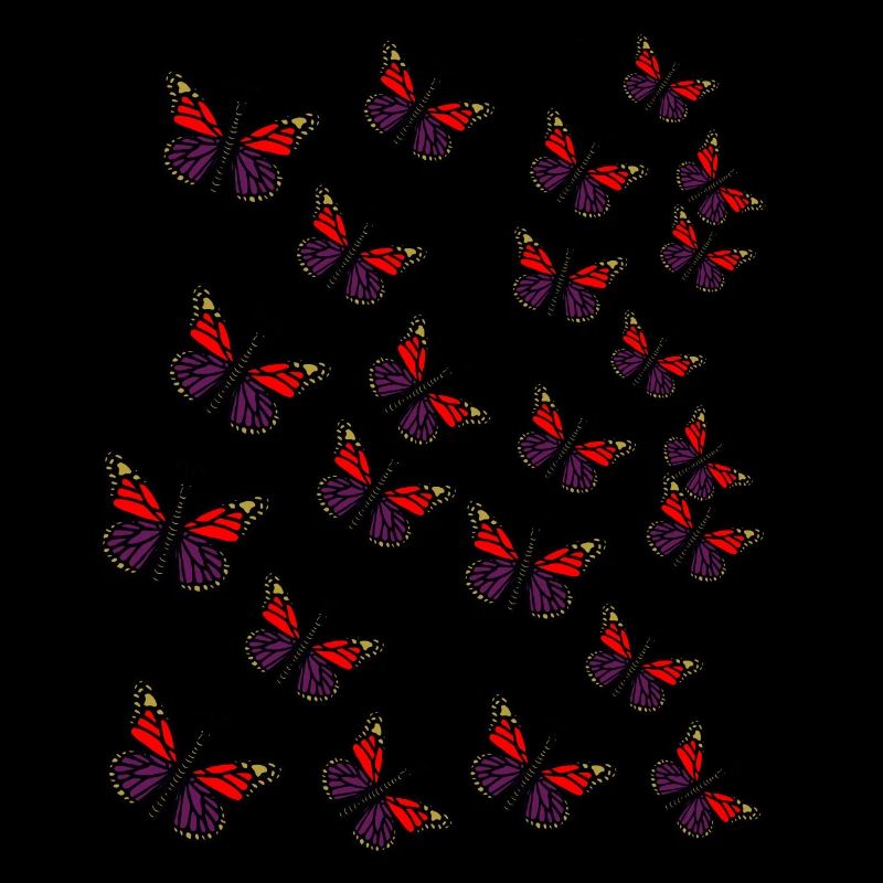 Butterflies Insects Insect Butterfly